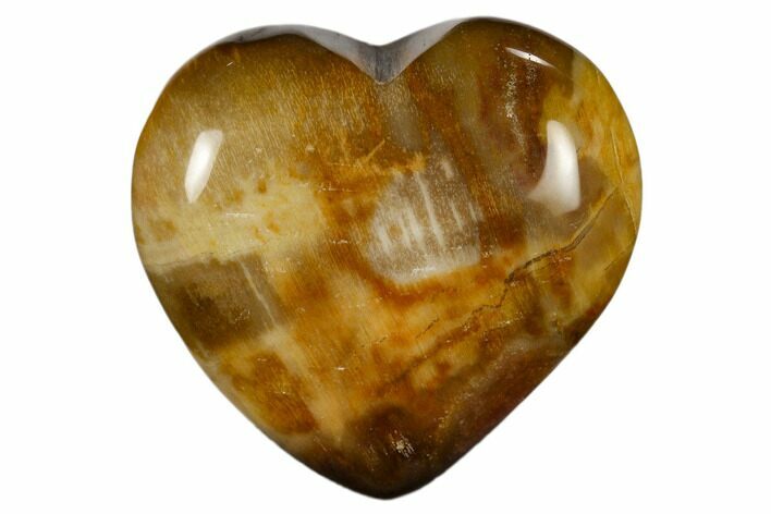 Polished, Triassic Petrified Wood Heart - Madagascar #115519